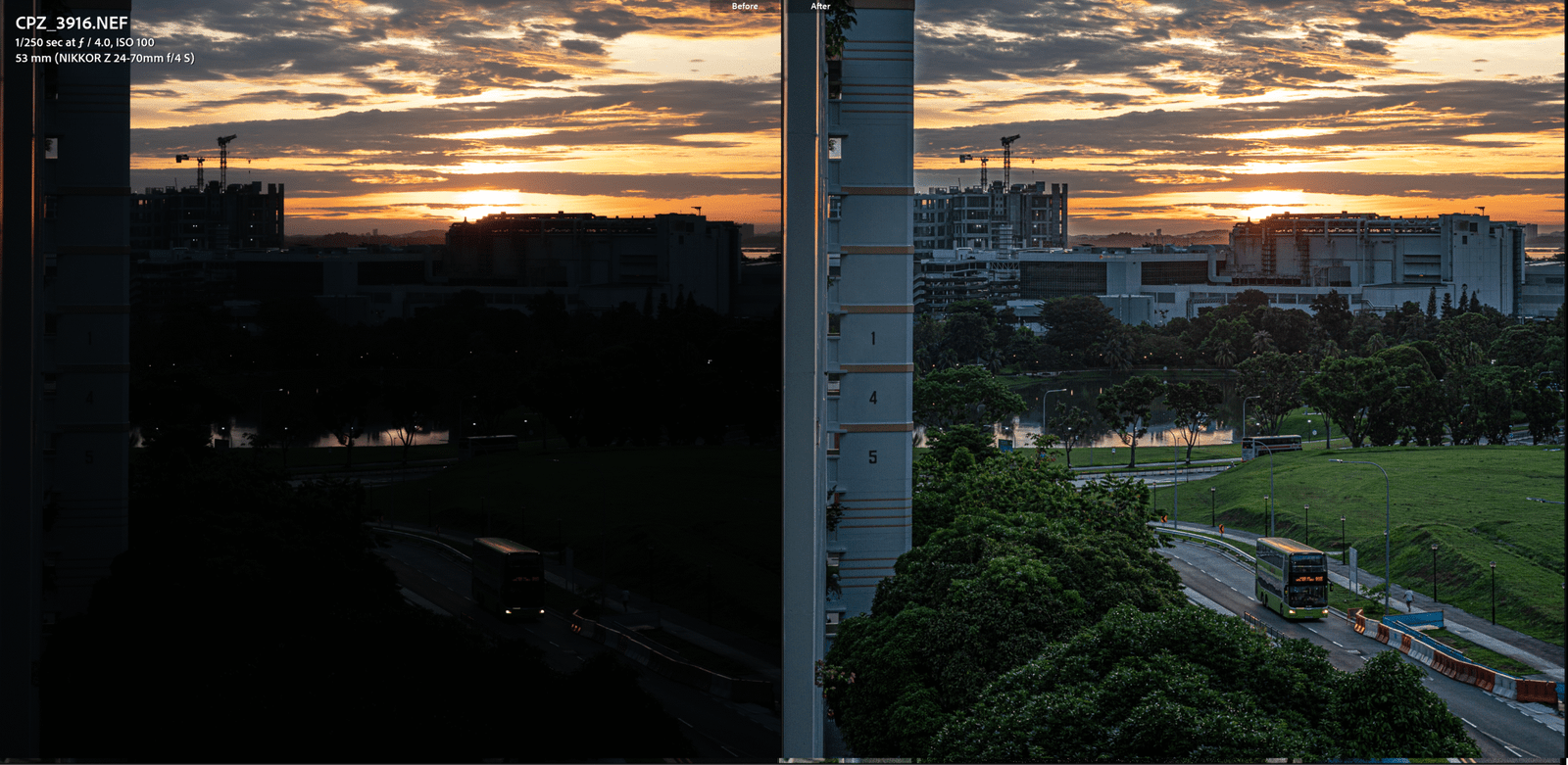 comparing nikon z6 shadows pushed