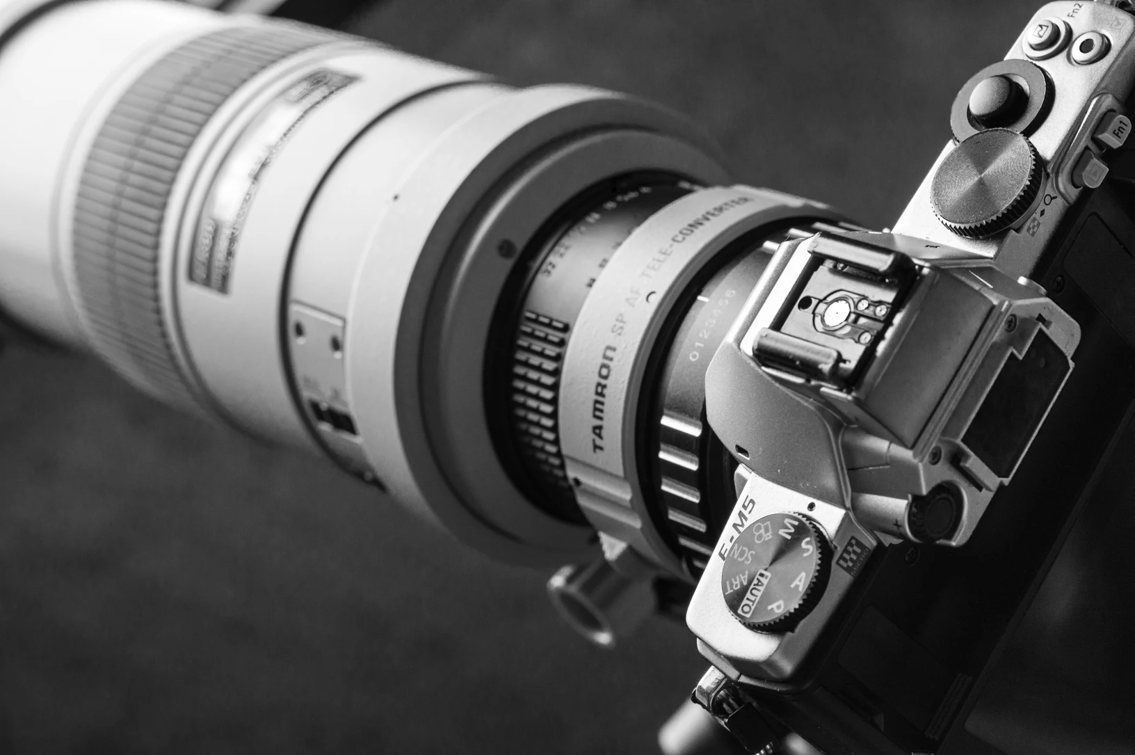 Nikon full frame 300mm f4 on a micro 4 thirds camera