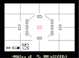 nikon multi cam 1000 used in the d200 and beyond