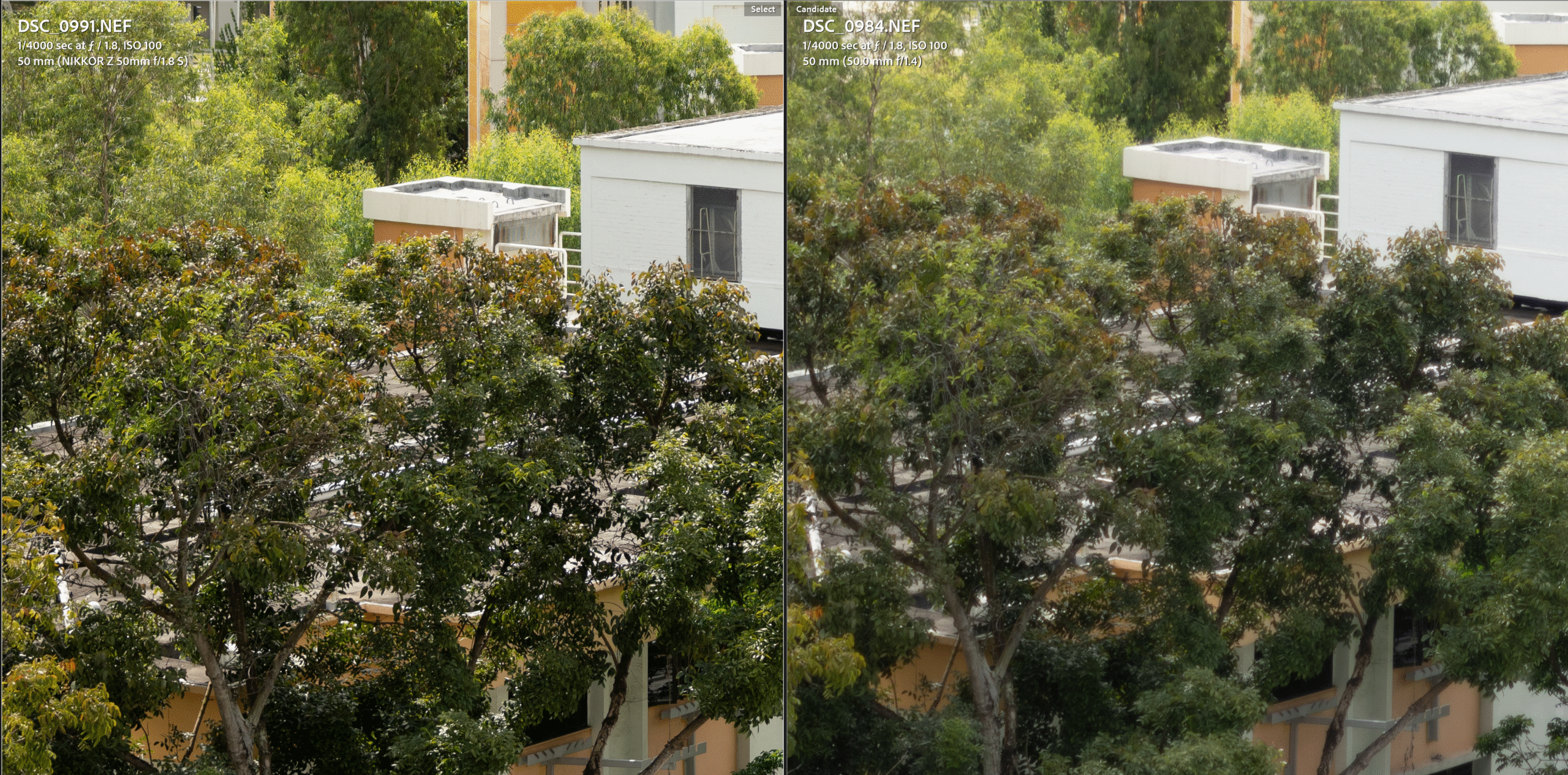 Z mount on the left, F mount on the right. Showing blurriness for the F mount and sharp corners for the Z mount lens