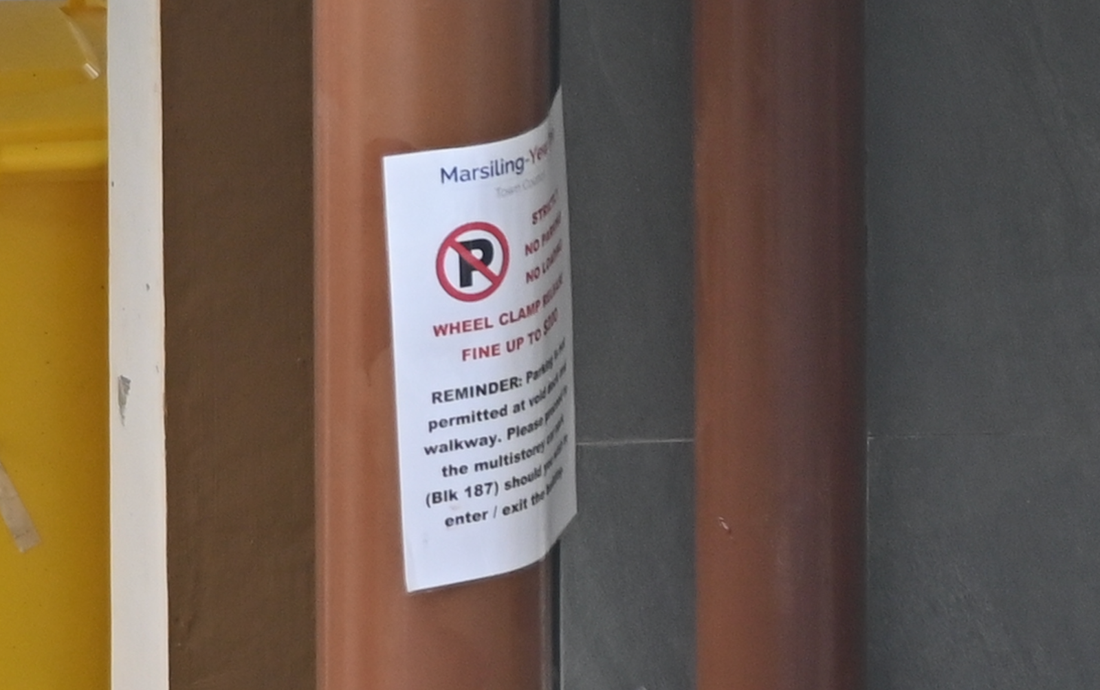 shot on trhe 300mm f4D with the Nikon Z50, 100% zoom