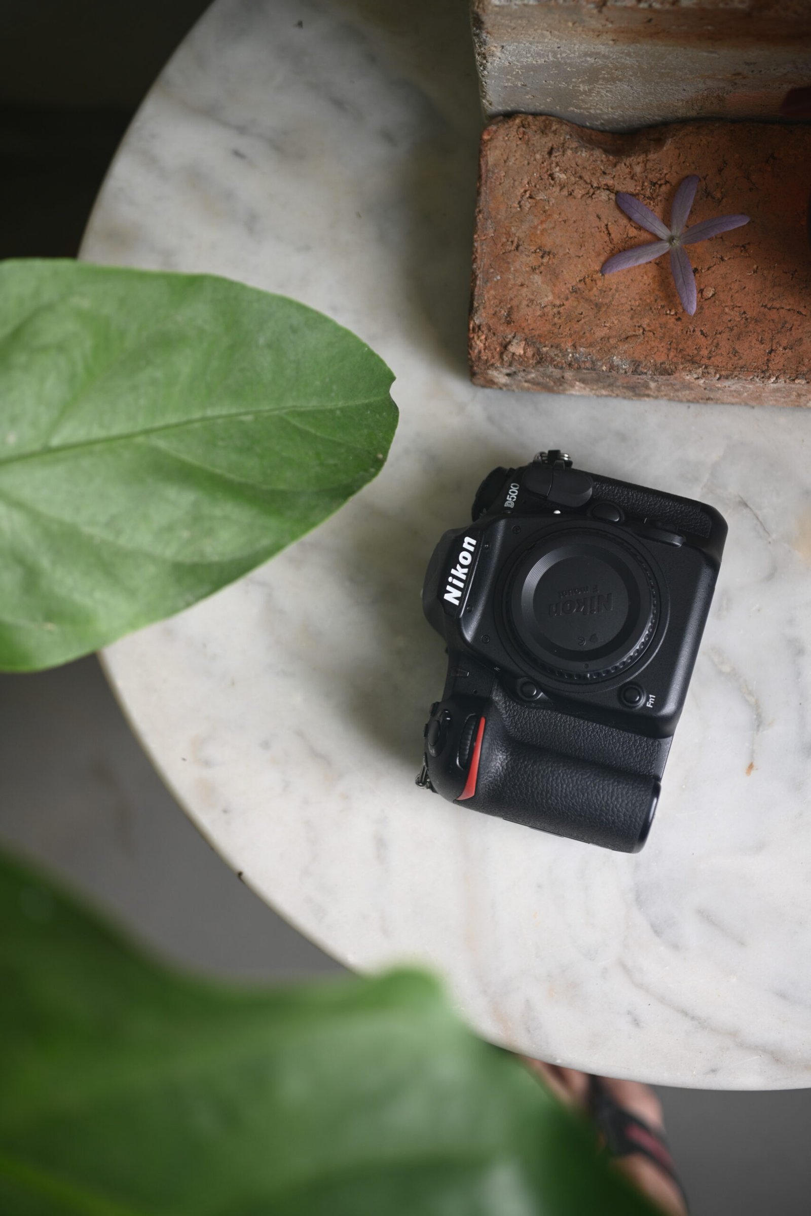 Nikon D500 Review: The Enduring DX-Format Powerhouse in 2026